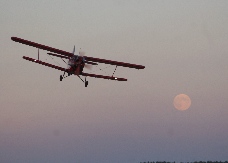 antonov2