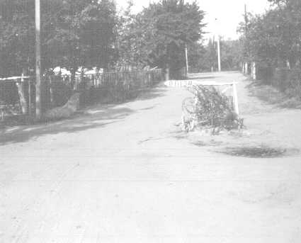 Picture: Diversion, some branches and a wooden sign (12K JPEG 343x425)