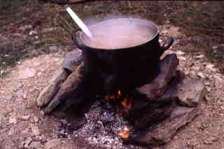 cooking onion-soup